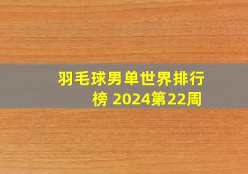 羽毛球男单世界排行榜 2024第22周